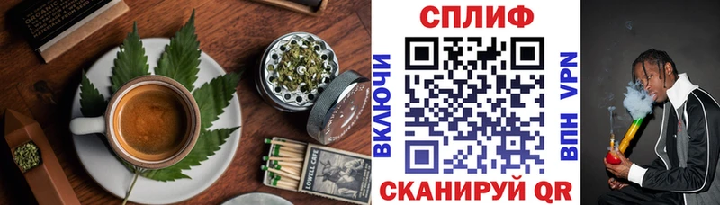 Cannafood конопля  Багратионовск 