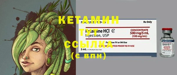 молекула духа Новозыбков