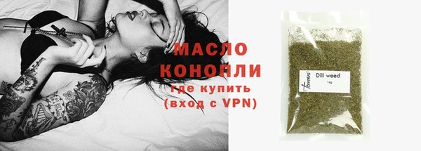 молекула духа Новозыбков