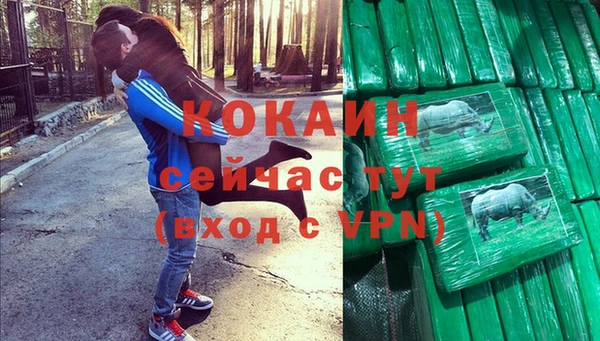 молекула духа Новозыбков
